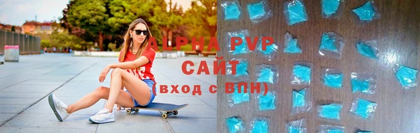 СК Алексин